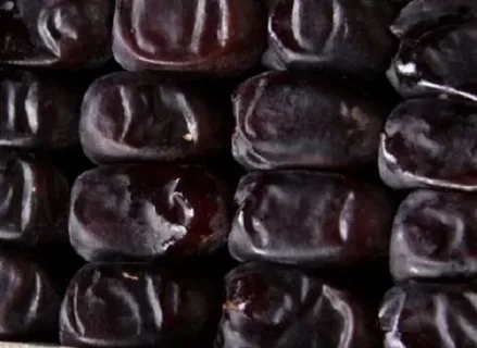 تصویر 1 از خرما مضافتی تازه کرمان با برداشت فصلی و سلامت تضمین شده